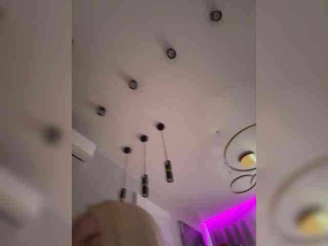 Lerek webcam