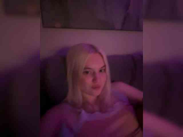 Lerek webcam
