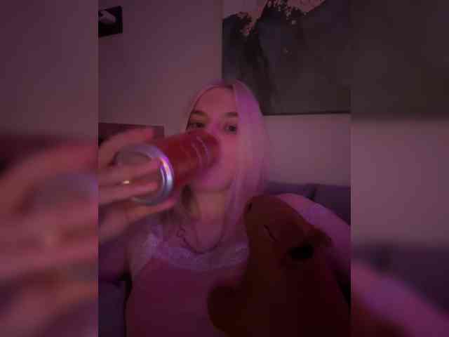 Lerek webcam