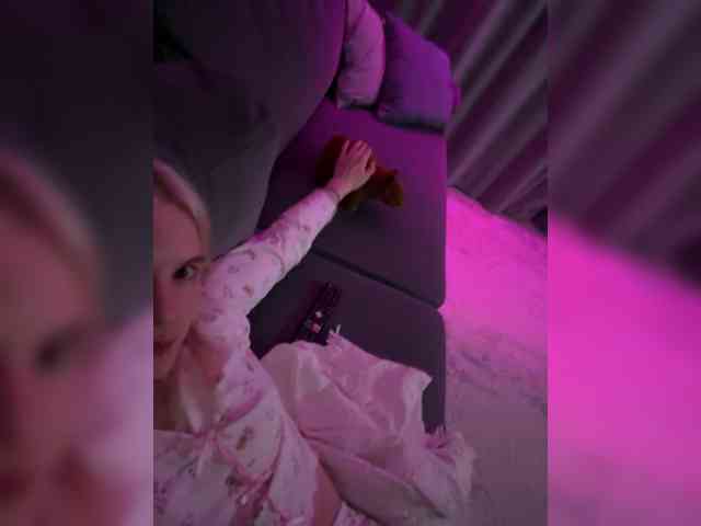Lerek webcam