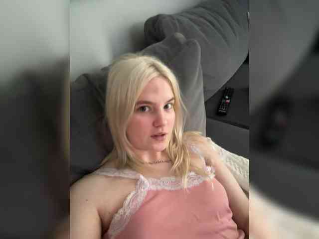 Lerek webcam