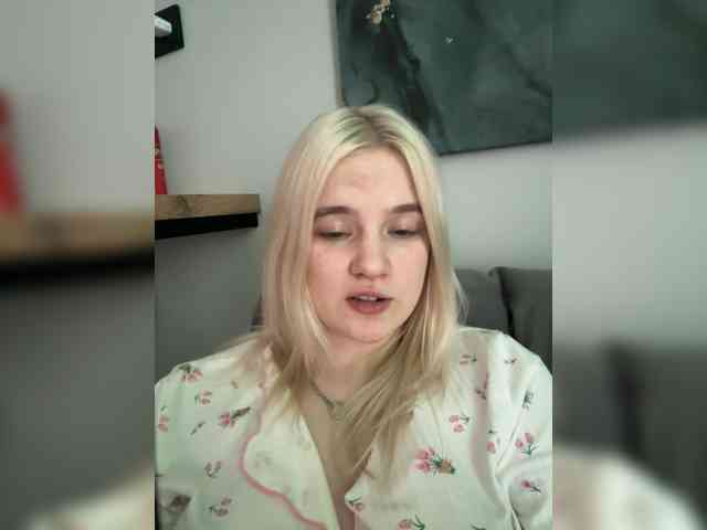 Lerek webcam