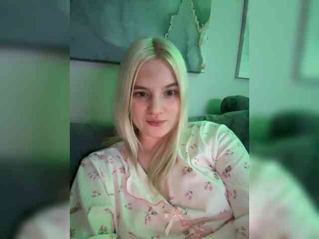 Lerek webcam