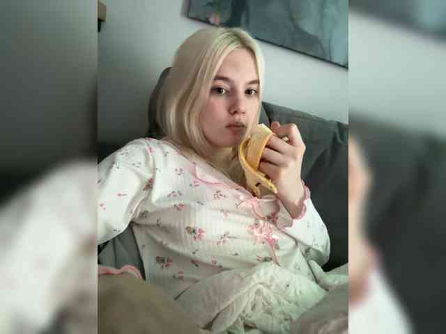 Lerek webcam