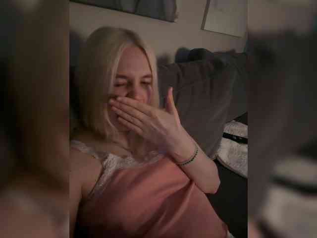 Lerek webcam