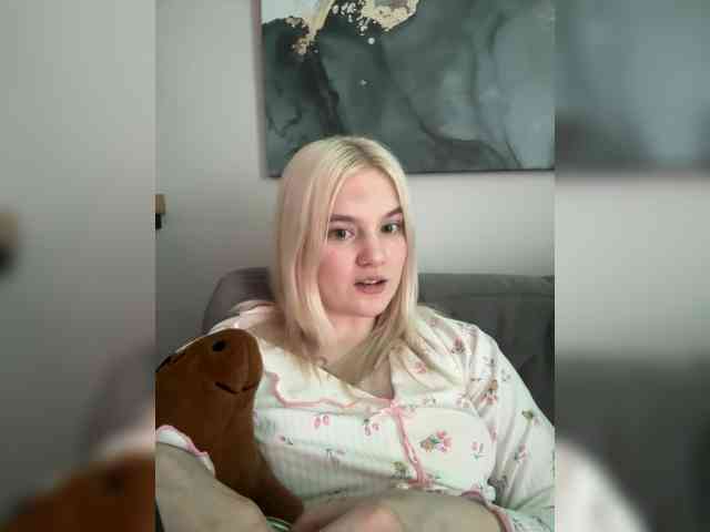 Lerek webcam