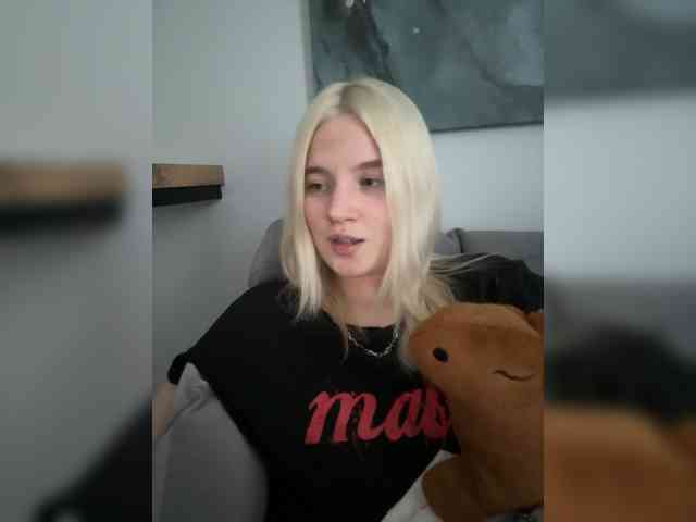 Lerek webcam
