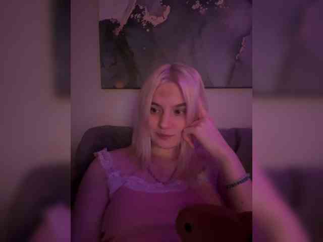 Lerek webcam
