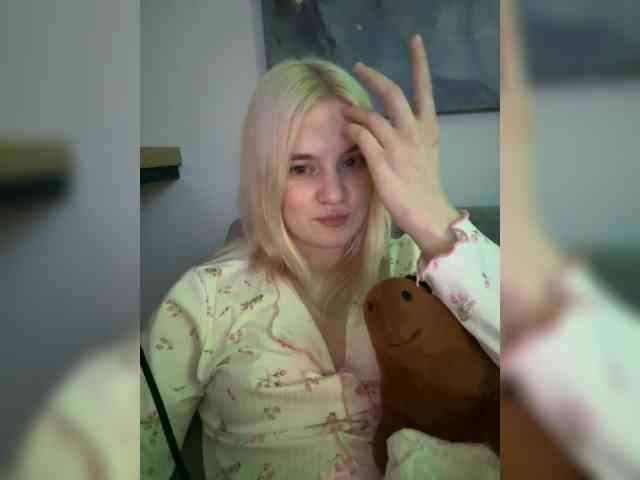 Lerek webcam