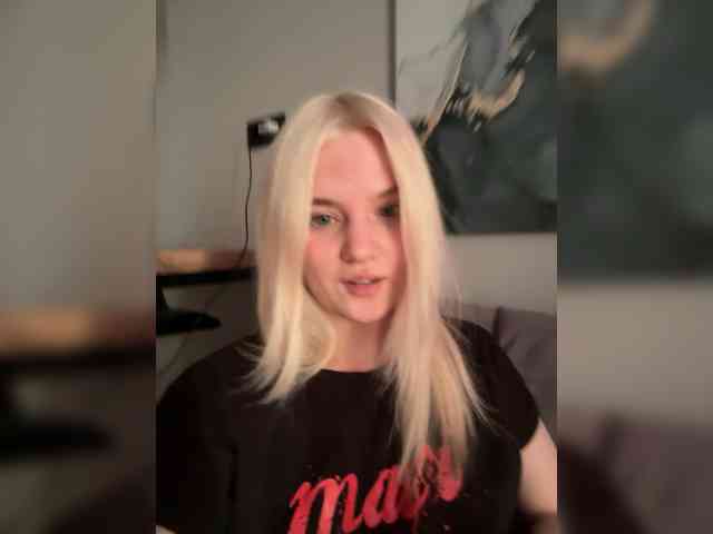 Lerek webcam