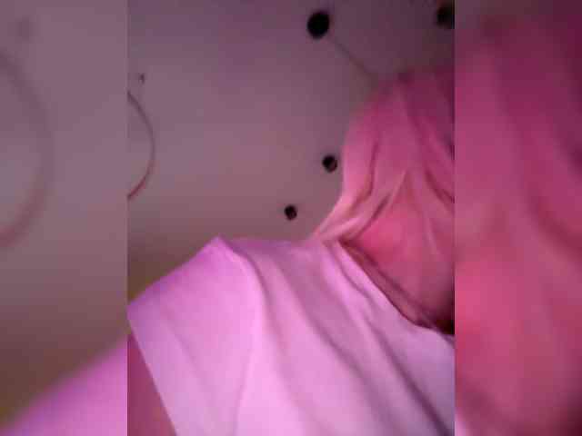 Lerek webcam
