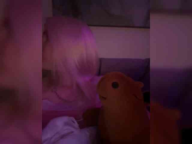 Lerek webcam