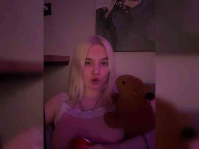 Lerek webcam