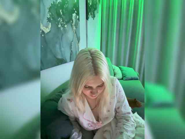 Lerek webcam