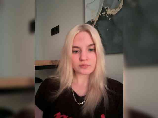 Lerek webcam