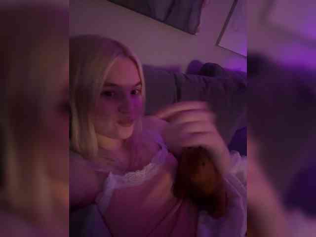 Lerek webcam