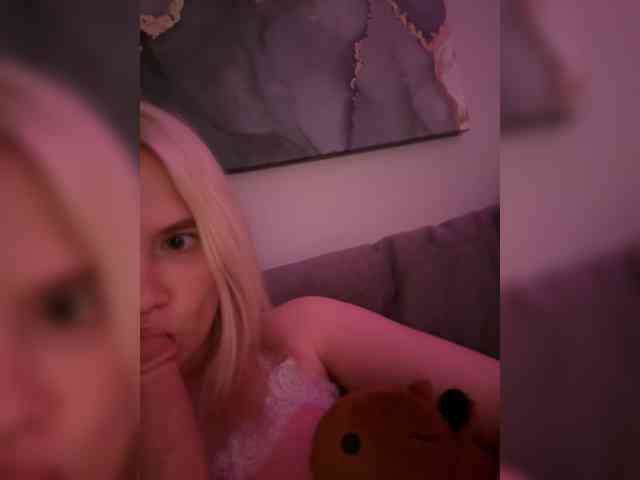 Lerek webcam