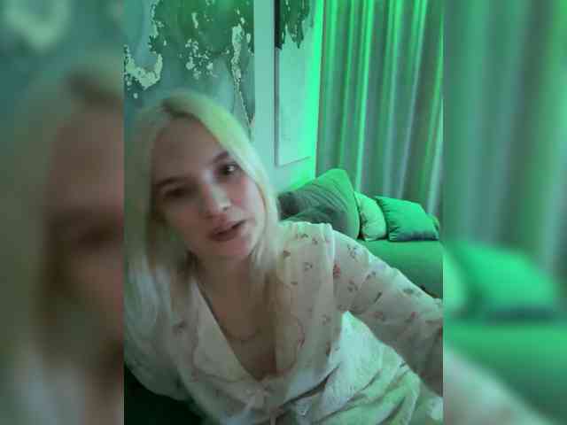 Lerek webcam