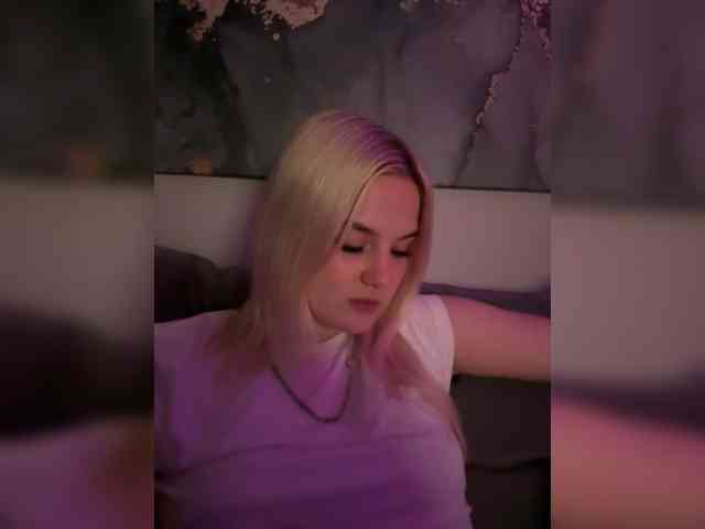 Lerek webcam