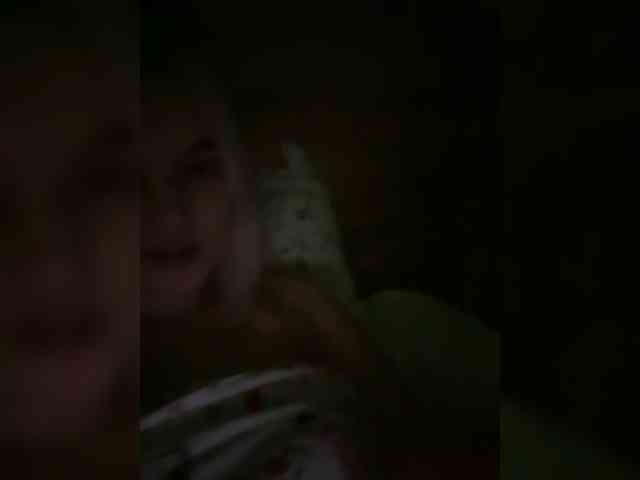 Lerek webcam