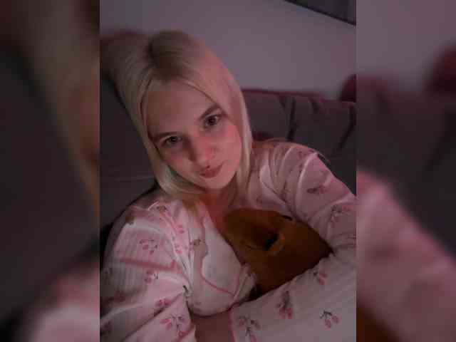 Lerek webcam