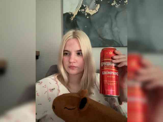 Lerek webcam