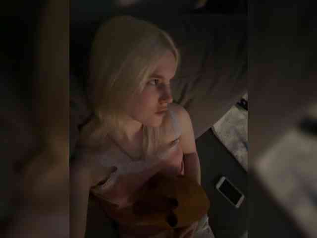 Lerek webcam