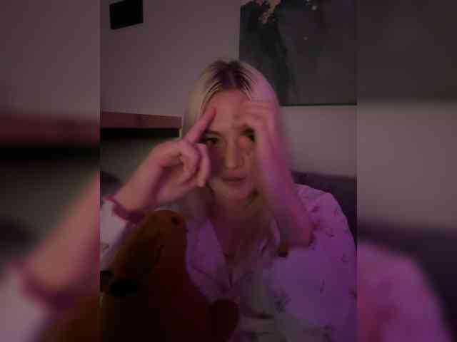 Lerek webcam
