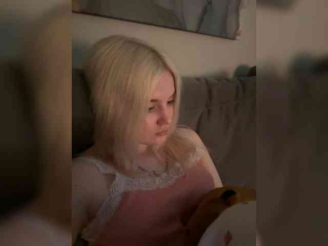 Lerek webcam