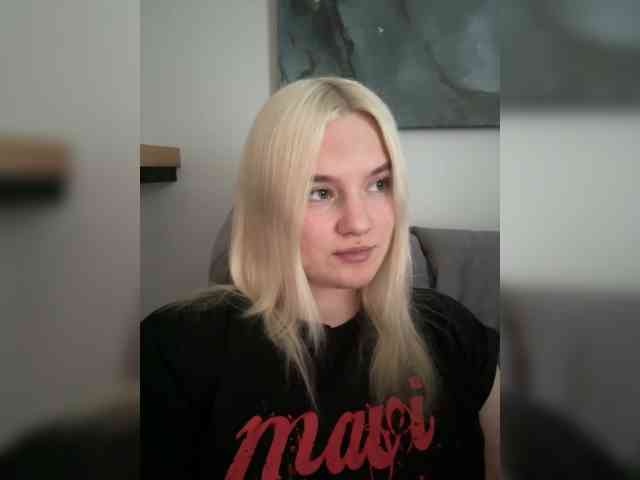 Lerek webcam