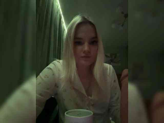 Lerek webcam