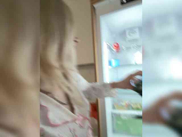 Lerek webcam