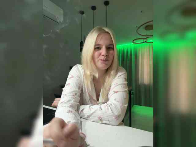 Lerek webcam