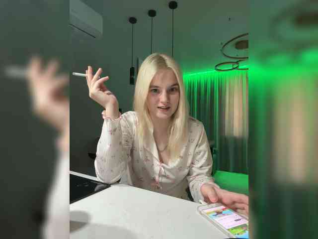 Lerek webcam