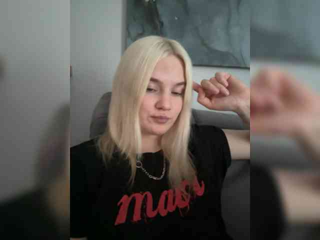 Lerek webcam