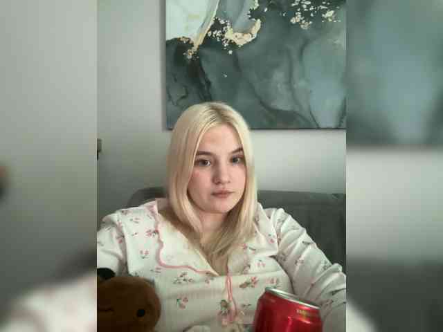Lerek webcam