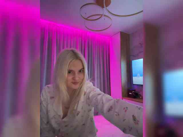 Lerek webcam
