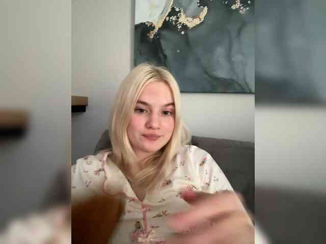 Lerek webcam