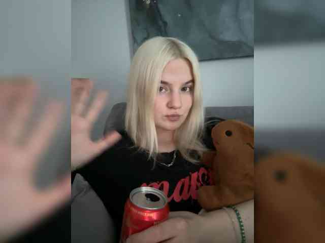 Lerek webcam