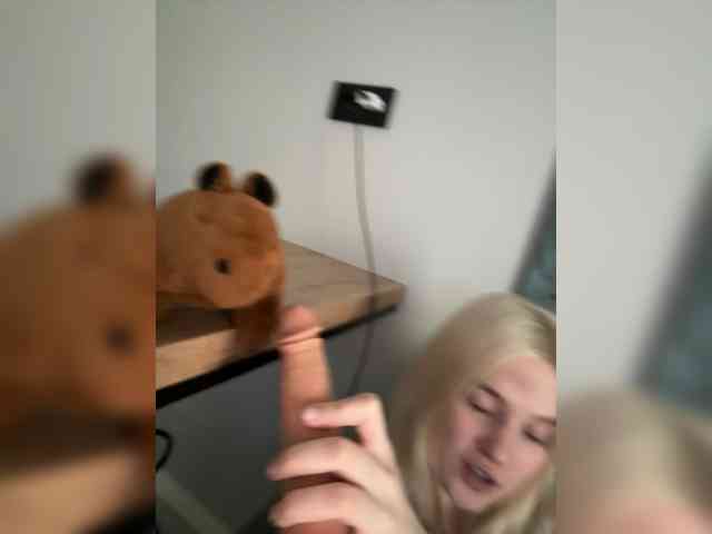 Lerek webcam