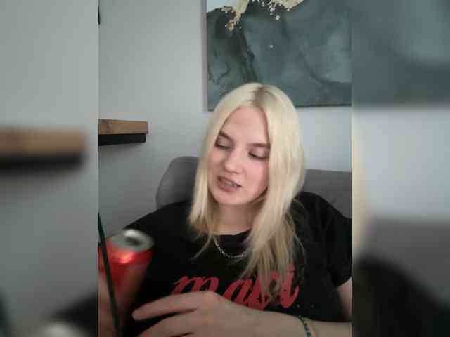 Lerek webcam