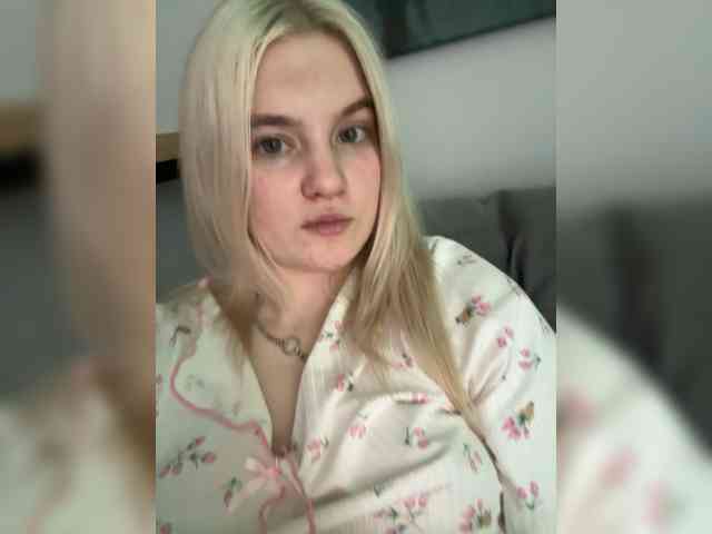 Lerek webcam