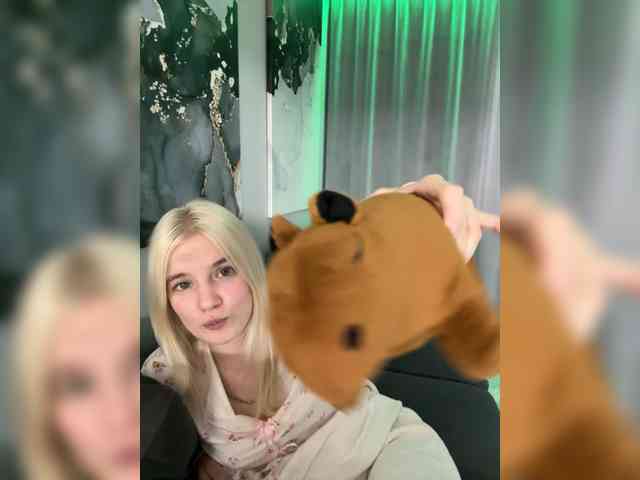Lerek webcam