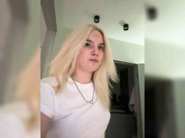 Lerek webcam