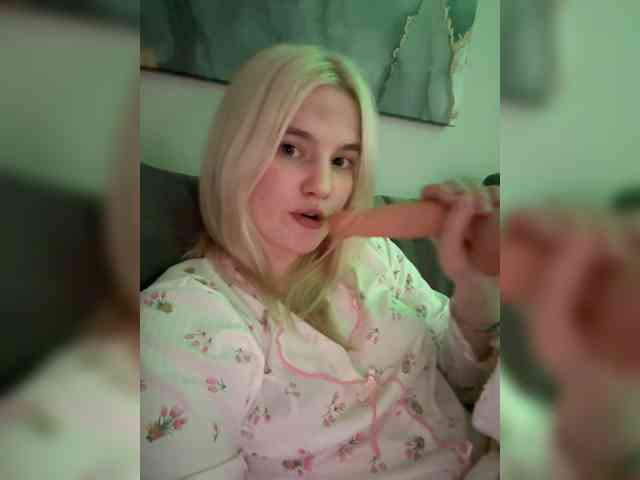 Lerek webcam