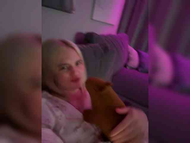Lerek webcam