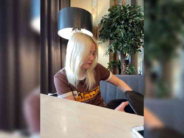 Lerek webcam