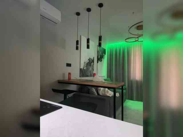 Lerek webcam