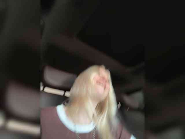 Lerek webcam