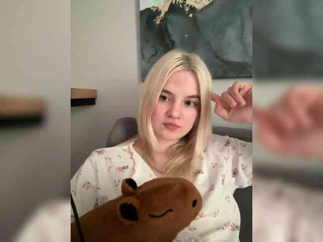 Lerek webcam
